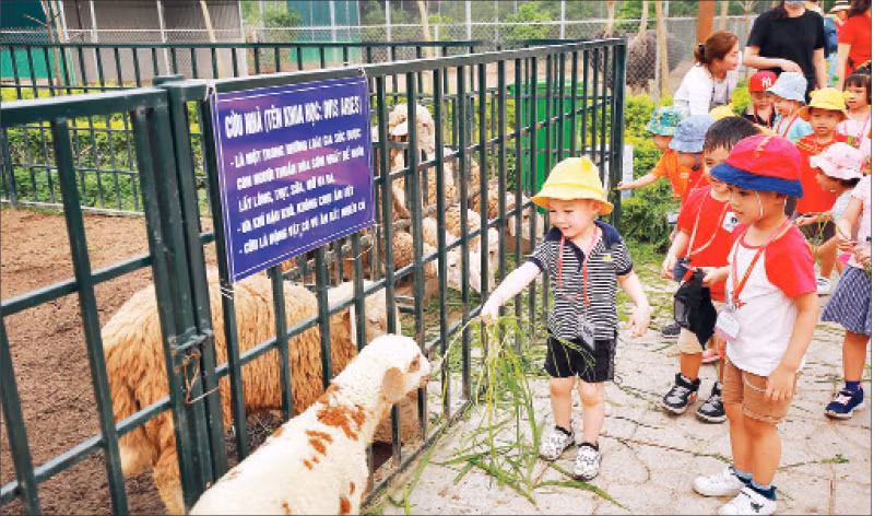 Khách du lịch trải nghiệm du lịch nông nghiệp tại Phù Đổng Green Park.