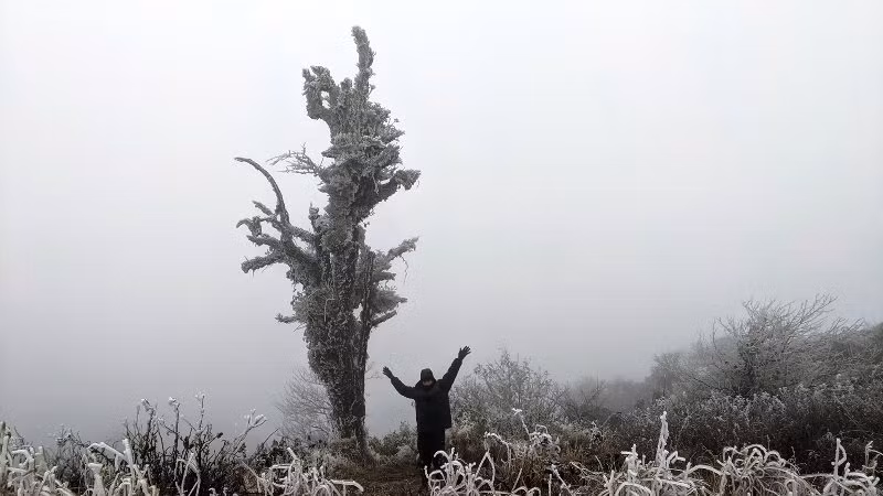 (đề nghị ghép tin Mẫu Sơn) -0