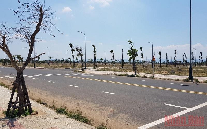 Khu đất bà Ngô Thị Điều trúng đấu giá và khi bán đã có hành vi trốn thuế. Khởi tố, bắt tạm giam đối tượng trúng đấu giá mua sỉ 262 lô đất tại Phú Yên vì tội trốn thuế -0