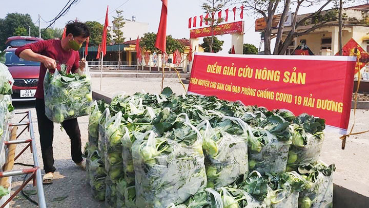 Một điểm giải cứu nông sản tại Hải Dương.