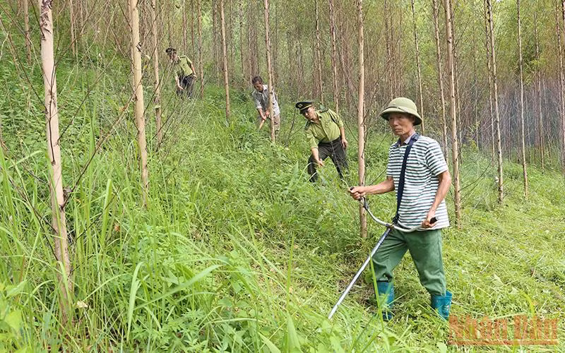 Lực lượng Kiểm lâm phối hợp với chủ rừng đi tuần tra, bảo vệ rừng tại xã Đồng Vương, huyện Yên Thế.