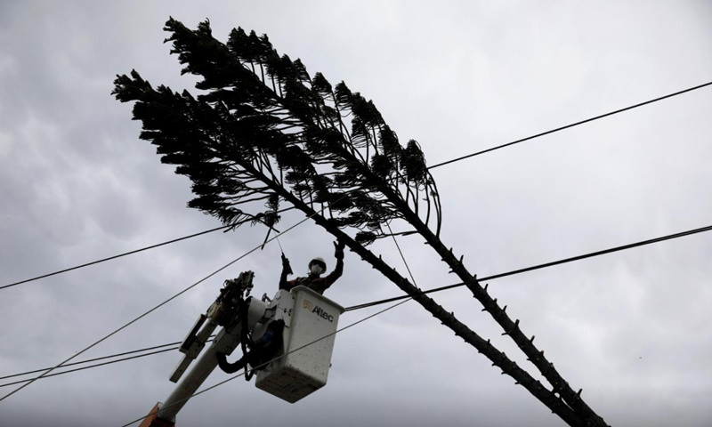 Cây cối đổ xuống đường điện tại El Salvador. (Ảnh: Reuters) Bão Eta càn quét Trung Mỹ, ít nhất 57 người thiệt mạng -0