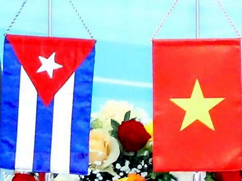 Ảnh minh họa