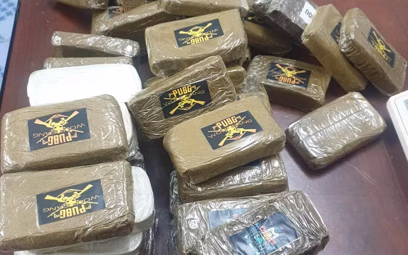 Số ma túy là cần sa ép thành bánh bị thu giữ ( ảnh Công an Hải Phòng cung cấp)