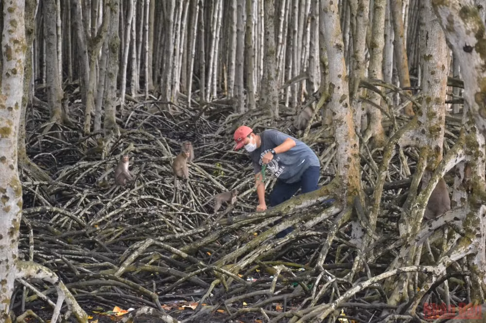 Một ngày đáng nhớ của lực lượng tuyến đầu tại “vùng xanh” Cần Giờ -0