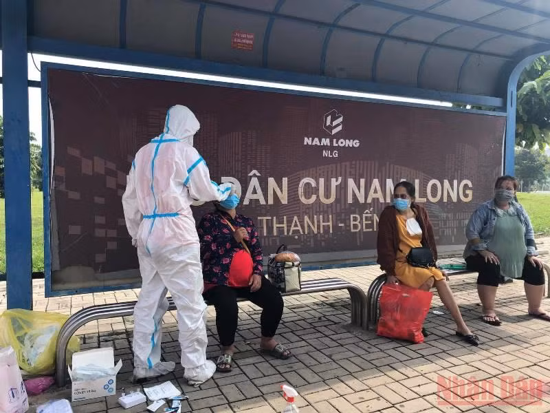 Đón các thai phụ đang tạm trú tại TP Hồ Chí Minh về An Giang.