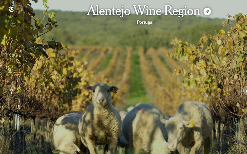 Vùng sản xuất rượu vang Alentejo: Các sáng kiến xanh được áp dụng trong việc giảm lượng nước sử dụng cho quy trình sản xuất rượu vang, góp phần vào nỗ lực chống biến đổi khí hậu. The New York Times: Đồng bằng sông Hồng trong danh sách 52 điểm đến năm 2022 -0