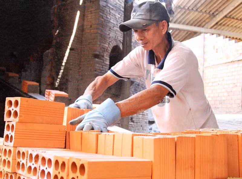 Đánh thức tiềm năng “Vương quốc đỏ Vĩnh Long” -0