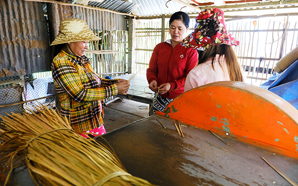 Học đan cỏ bàng. Co_bang_3-1599106619377.jpg