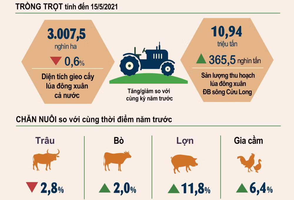 Nguồn: Tổng cục Thống kê.