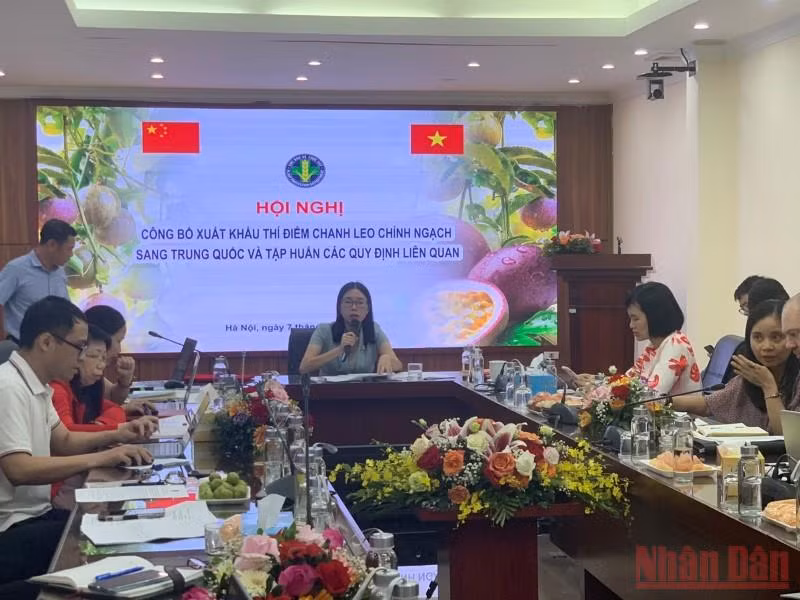 Cục Bảo vệ thực vật công bố xuất khẩu thí điểm chanh leo chính ngạch sang Trung Quốc chiều 7/7.