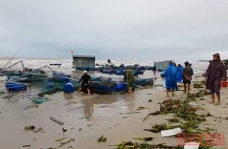 Lồng bè nuôi cá bị sóng đánh tấp vào bờ biển. Nhiều lồng bè nuôi cá ở Quảng Nam bị nước cuốn trôi -0