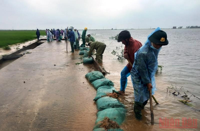 Các lực lượng bộ đội, công an cùng người dân xã Phong Bình (huyện Phong Điền) gia cố bao cát chống lũ tràn qua đê. Thừa Thiên Huế dồn sức khắc phục hậu quả thiệt hại do mưa lũ -0