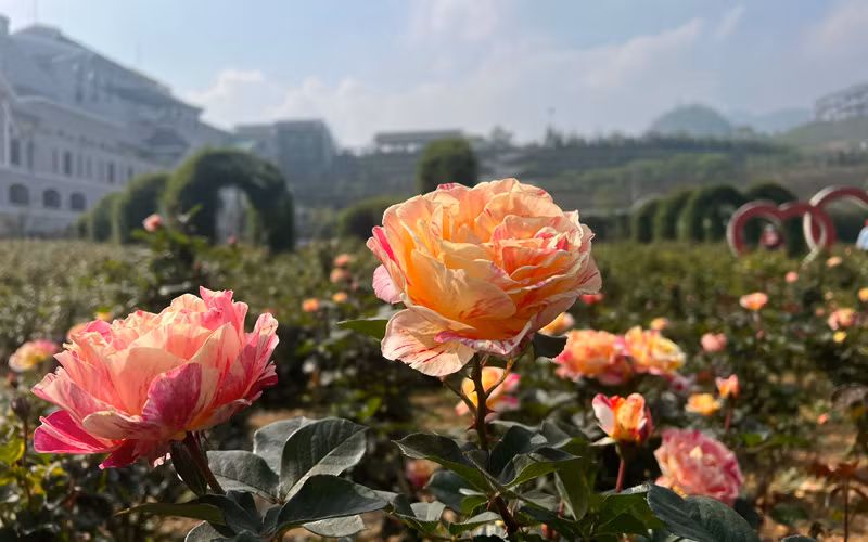 Những trải nghiệm mới phải thử dịp 30/4-1/5 -0