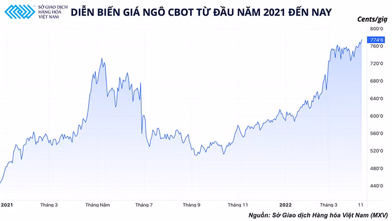 Thị trường nông sản vẫn đang đứng trước rủi ro tăng giá trong thời gian tới -0