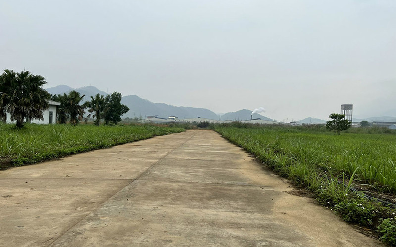 Khu đất rộng hơn 17 ha trong Khu công nghiệp Thanh Bình đang bị bỏ hoang. Lãng phí đất “vàng” khu công nghiệp ở Bắc Kạn -0