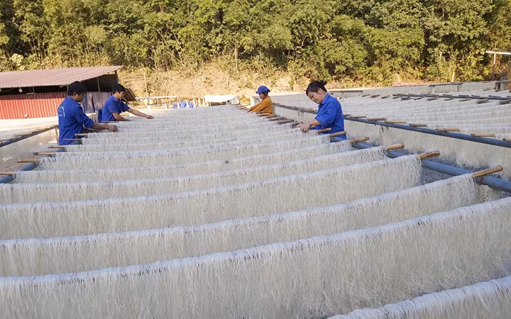 Người dân xã Côn Minh, huyện Na Rì, phơi miến dong.