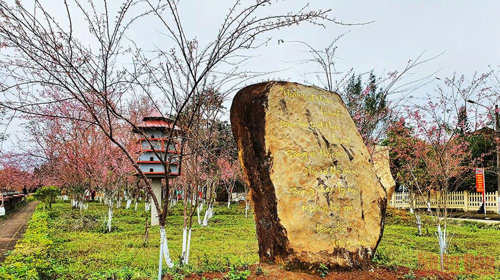 Những tảng đá được thị trấn Măng Đen khắc các câu thơ của người nổi tiếng, nổi bật bên rừng hoa anh đào. Rực rỡ mùa hoa Anh Đào Kon Plông -0