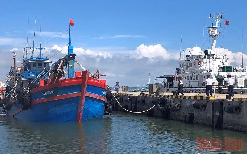 Tàu cá số hiệu TG 92008TS bị tạm giữ để xử lý theo quy định.