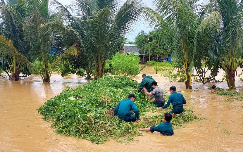 Các lực lượng tiến hành khơi thông dòng chảy chống ngập. Mưa lớn kéo dài gây ngập nhiều diện tích cây trồng tại Lâm Đồng -0