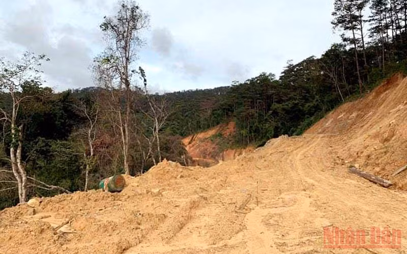 Đơn vị thi công tự ý mở đường Trường Sơn Đông đoạn đi qua Vườn quốc gia Bidoup-Núi Bà.