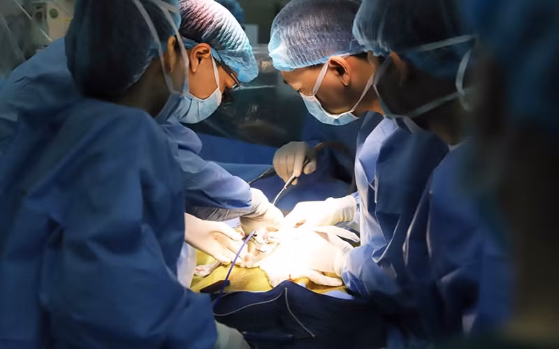 Các bác sĩ tiến hành ghép gan cho cháu bé. (Ảnh: BVCC)