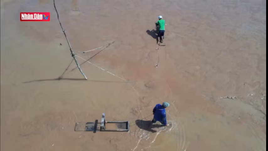 Đi mong nghề độc đáo ở biển Trần Đề