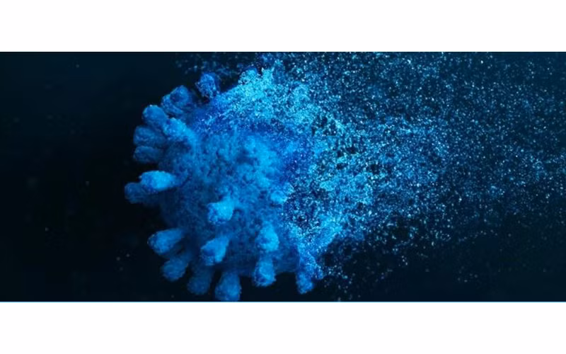 (Nguồn: sciencealert.com)