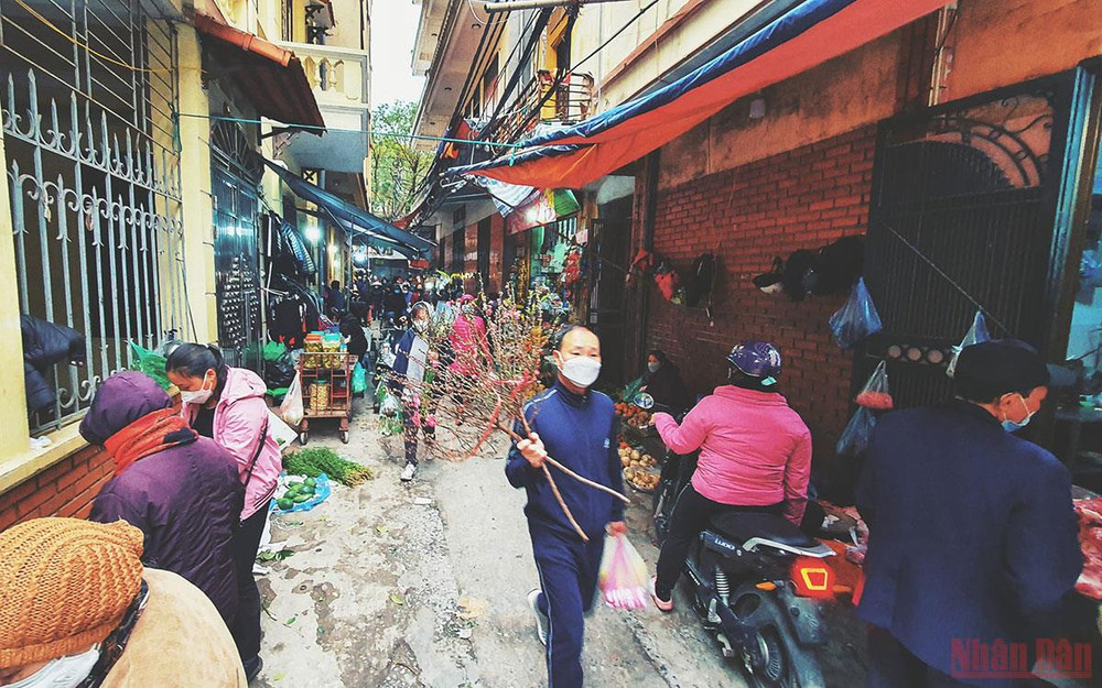 Đi chợ Tết. Giá cả thị trường bình ổn, không hiếm hàng, khan giá -0