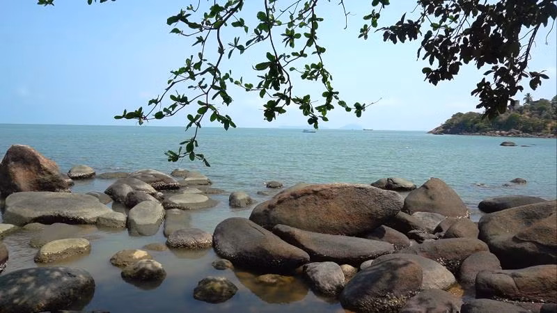 Nhớ con tôm tích... xứ hòn -0