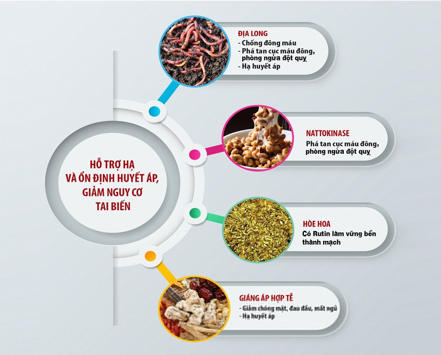 Bài thuốc đông y Giáng áp hợp tễ được ghi nhận hiệu quả trong điều trị tăng huyết áp. Gần 60% người bị tăng huyết áp ở Việt Nam chưa được phát hiện -0