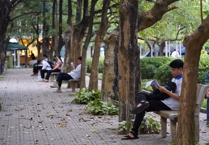 Trong khuôn viên Trường đại học Khoa học Tự nhiên, Đại học Quốc gia Hà Nội