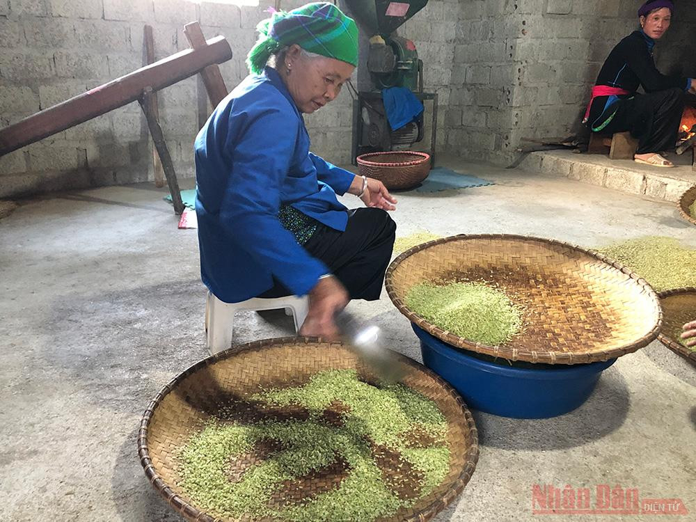 “Trời mưa thì giã cốm ăn chơi” ảnh 5 IMG_1131-1602831978827.jpg