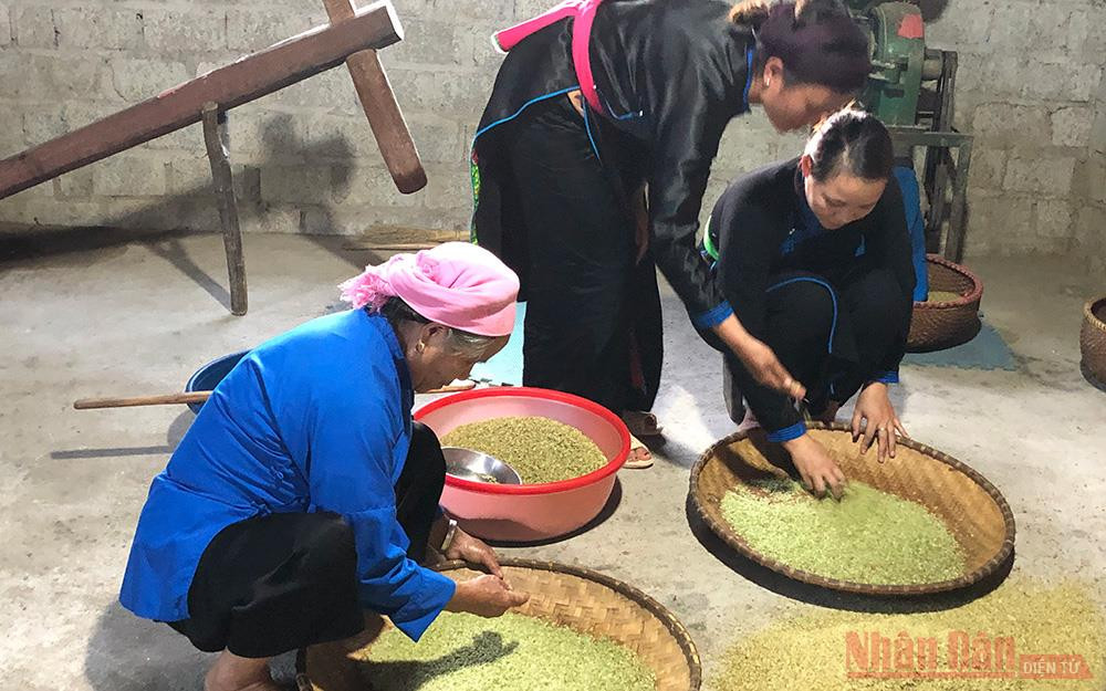 Sàng sảy và nhặt trấu ra khỏi lượt cốm vừa giã. IMG_1188-1602831979282.jpg