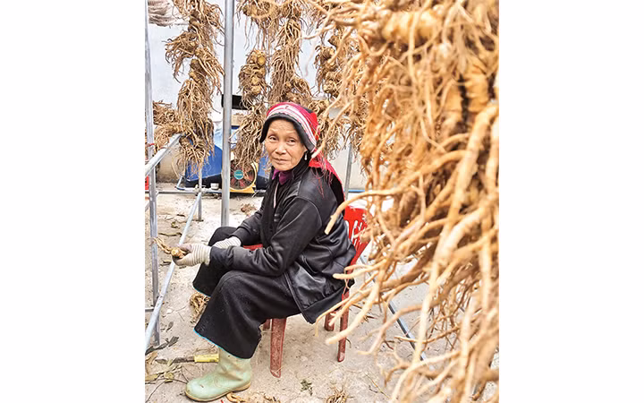 Một người phụ nữ trong xưởng HTX cộng đồng.