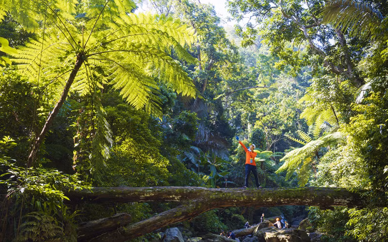 Covid-19: Thay đổi thói quen nhưng không thể dập tắt nhu cầu du lịch -0