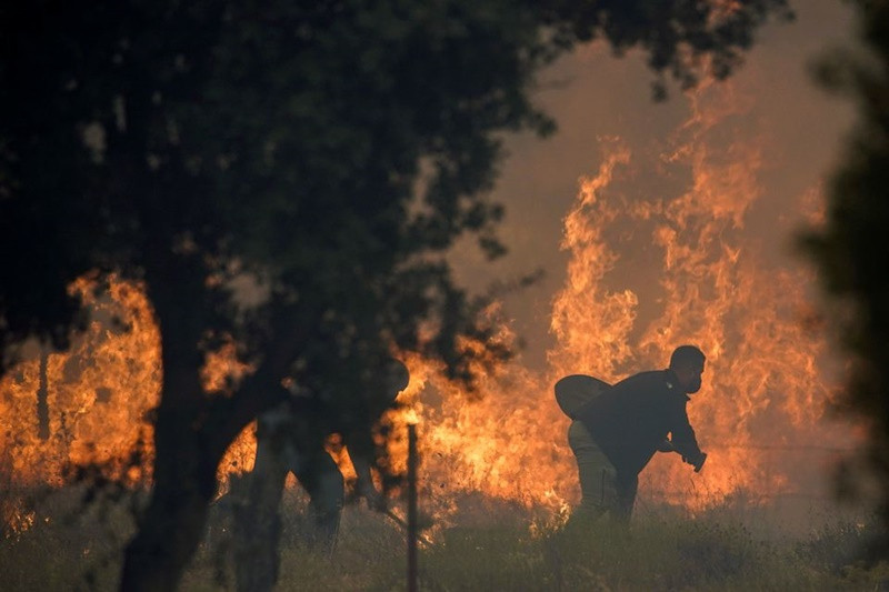 Tình nguyện viên tham gia dập lửa tại làng Navalmoral, Tây Ban Nha, ngày 16/8. (Ảnh: Reuters) Cháy rừng tại nhiều nước do nắng nóng -0