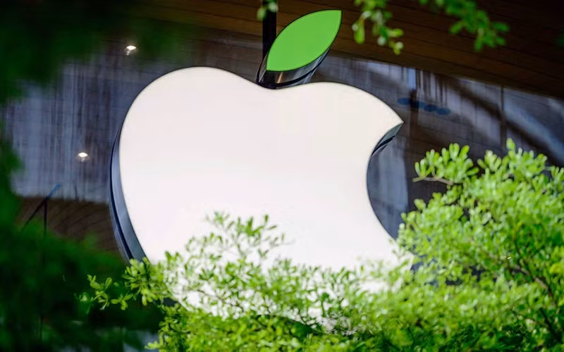 Mục tiêu của dự án nhằm giảm khí thải carbon trong bầu khí quyển và sinh lợi nhuận.