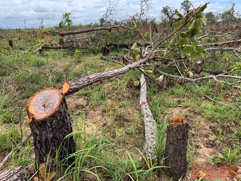 Khởi tố vụ án phá gần 400 ha rừng tự nhiên ở Đắk Lắk -0