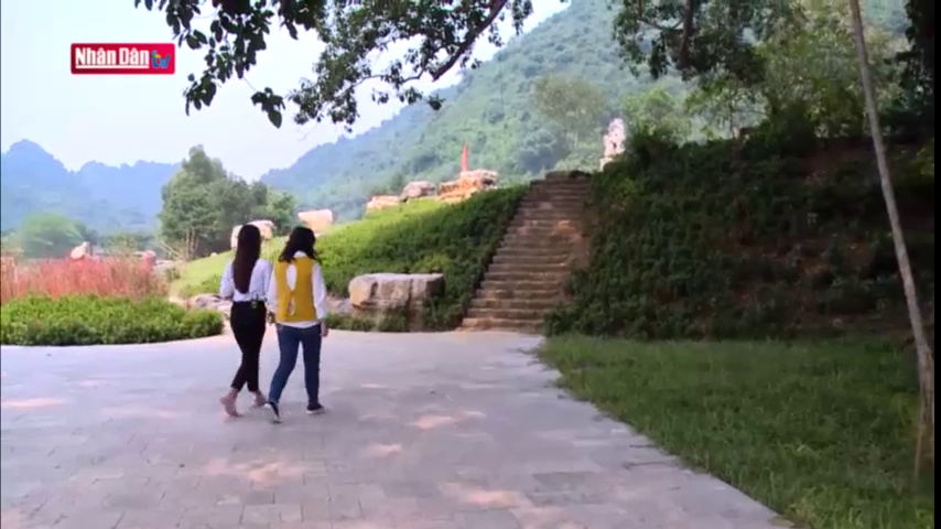 Độc đáo cây đa di chuyển