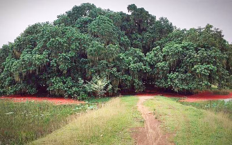 5 địa điểm du lịch khi đến Phú Thọ -0