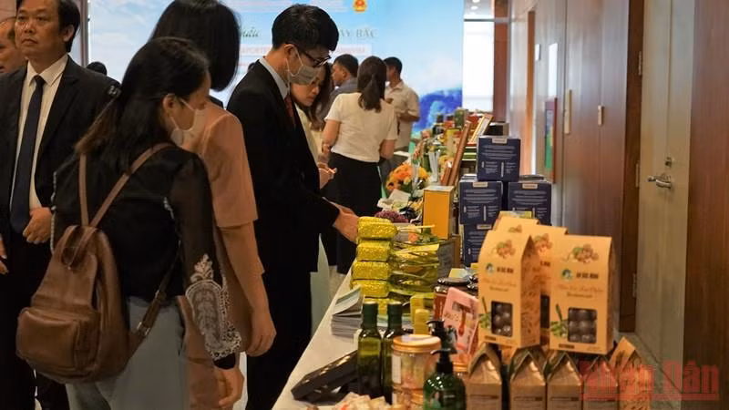 Mở rộng tiềm năng xuất khẩu trà Lai Châu sang Trung Đông, Bắc Phi và Nam Á -0