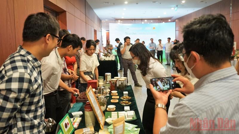 Khách tham quan các gian trưng bày sản phẩm trà của tỉnh Lai Châu. Mở rộng tiềm năng xuất khẩu trà Lai Châu sang Trung Đông, Bắc Phi và Nam Á -0