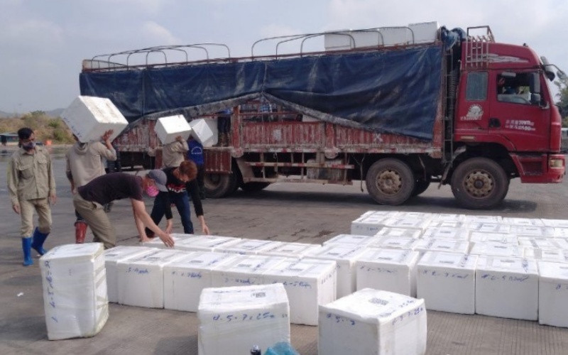 Hàng hóa được bốc xếp tại khu vực Cầu phao km 3+4 Hải Yên, TP Móng Cái. Hàng nông sản xuất khẩu qua cửa khẩu Móng Cái tăng mạnh -0