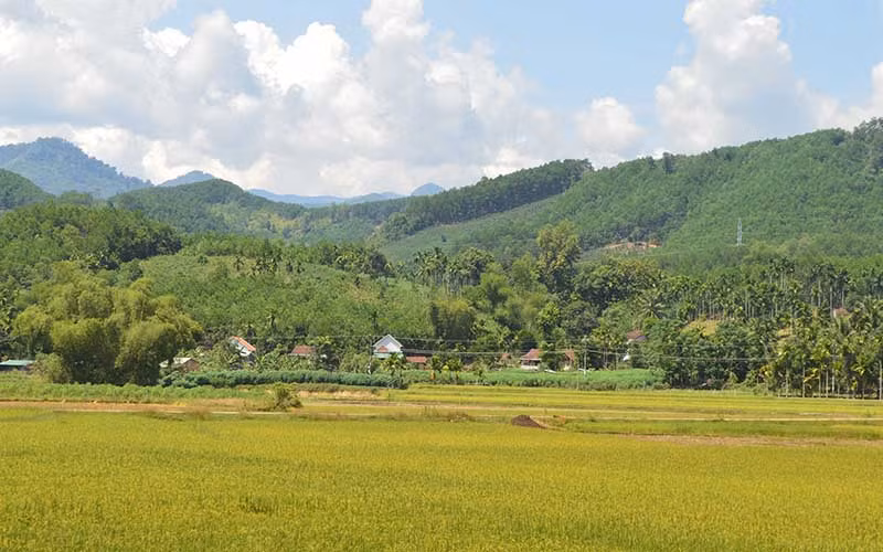 Việc thực hiện chính sách bảo hiểm y tế giúp người dân tộc thiểu số ở miền núi Quảng Ngãi được tiếp cận chính sách an sinh xã hội. 