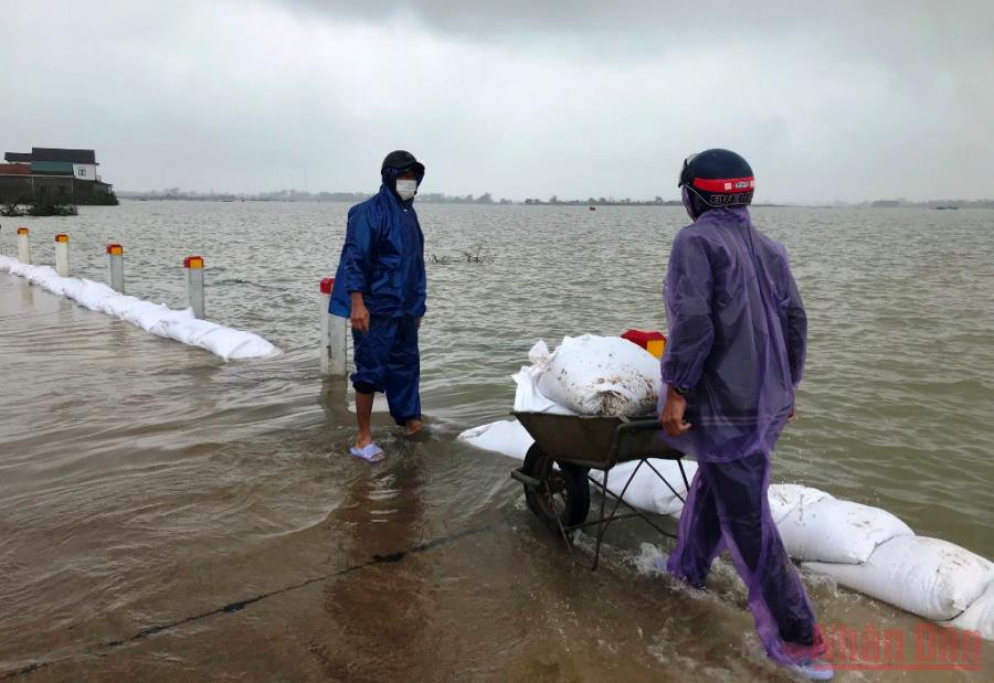 Bà con nhân dân xã Quảng Thành (huyện Quảng Điền) dùng bao cát đắp để cứu lúa, hoa màu vụ đông xuân. Chủ động ứng phó, có phương án khắc phục trước diễn biến bất thường của thời tiết -0