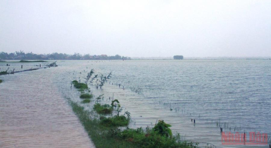 Hàng nghìn ha diện tích lúa bị nước ngập sâu kéo dài trong 3 ngày qua, nguy cơ mất trắng vụ đông xuân. Chủ động ứng phó, có phương án khắc phục trước diễn biến bất thường của thời tiết -0