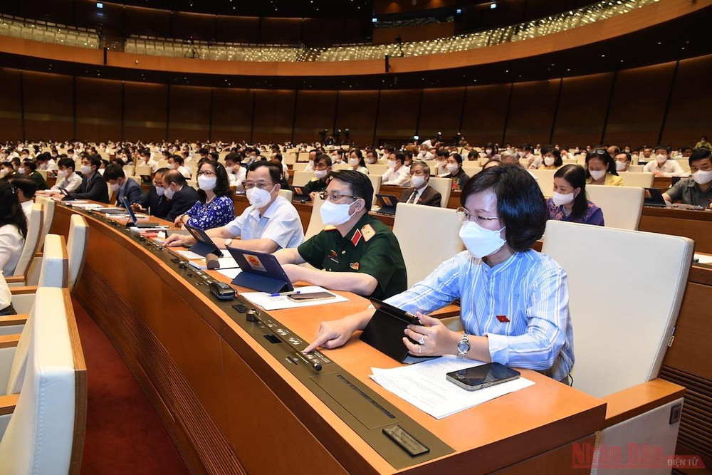 Đại biểu Quốc hội tham gia biểu quyết tại phiên họp toàn thể sáng 28/7. Ảnh: QUANG HOÀNG