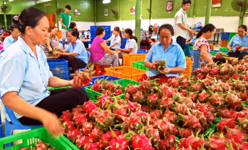 Giữ vững đà tăng trưởng nông nghiệp