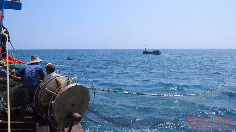 Tổ chức lại hoạt động khai thác là yêu cầu bức thiết để Quảng Ngãi hướng đến phát triển thủy sản bền vững.